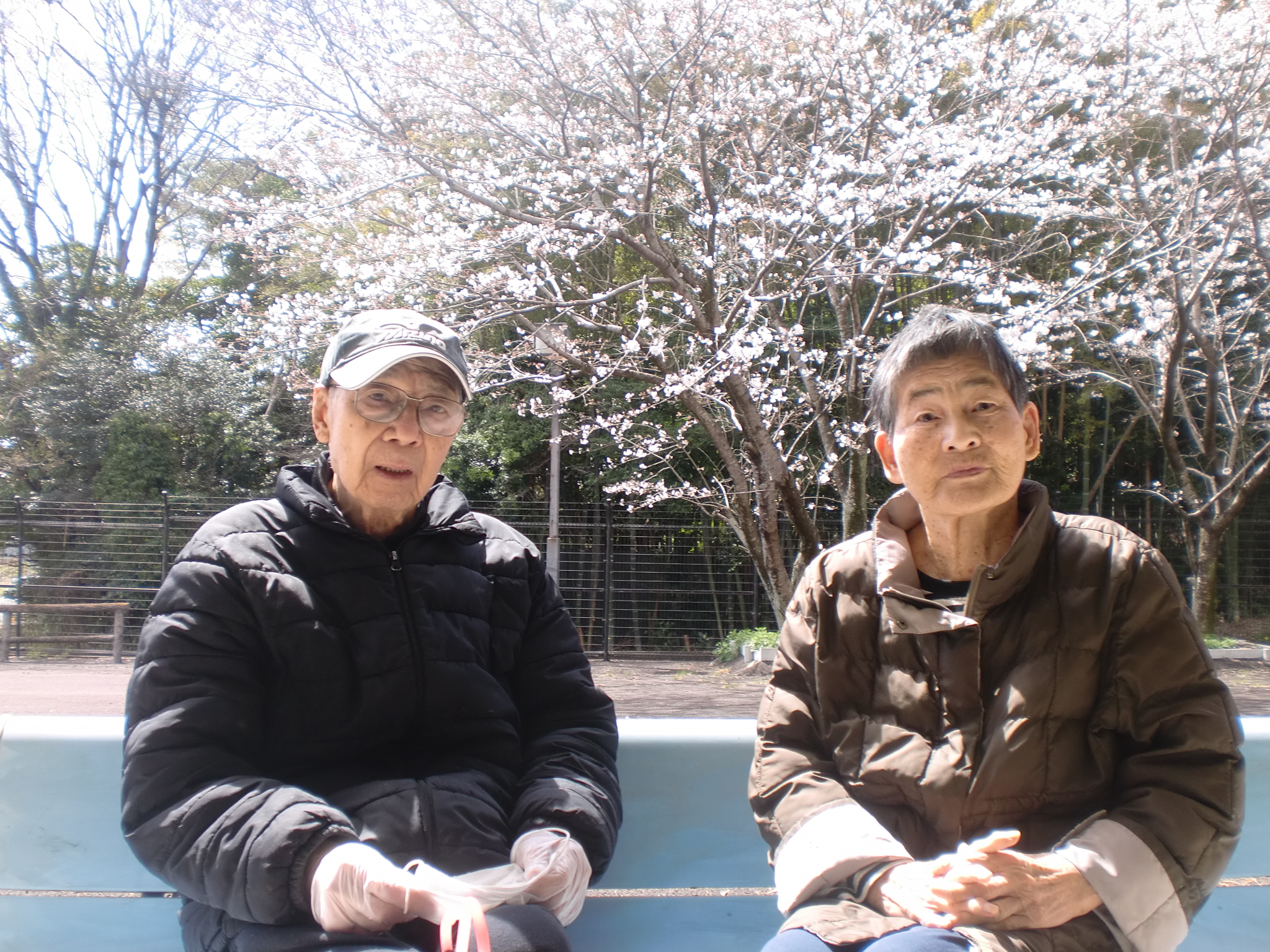 ���{�@�Ԍ�