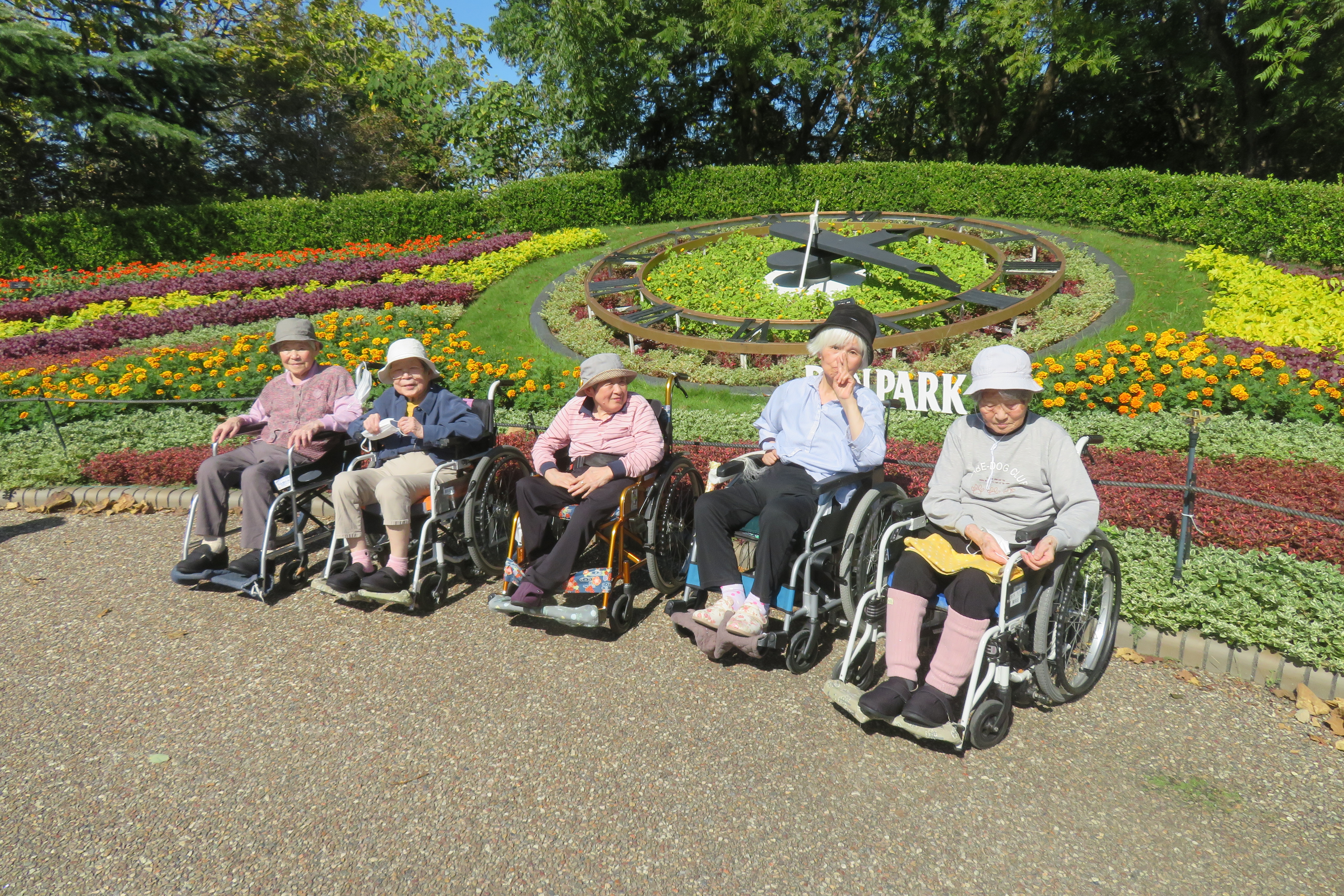 ���{�@�t���������