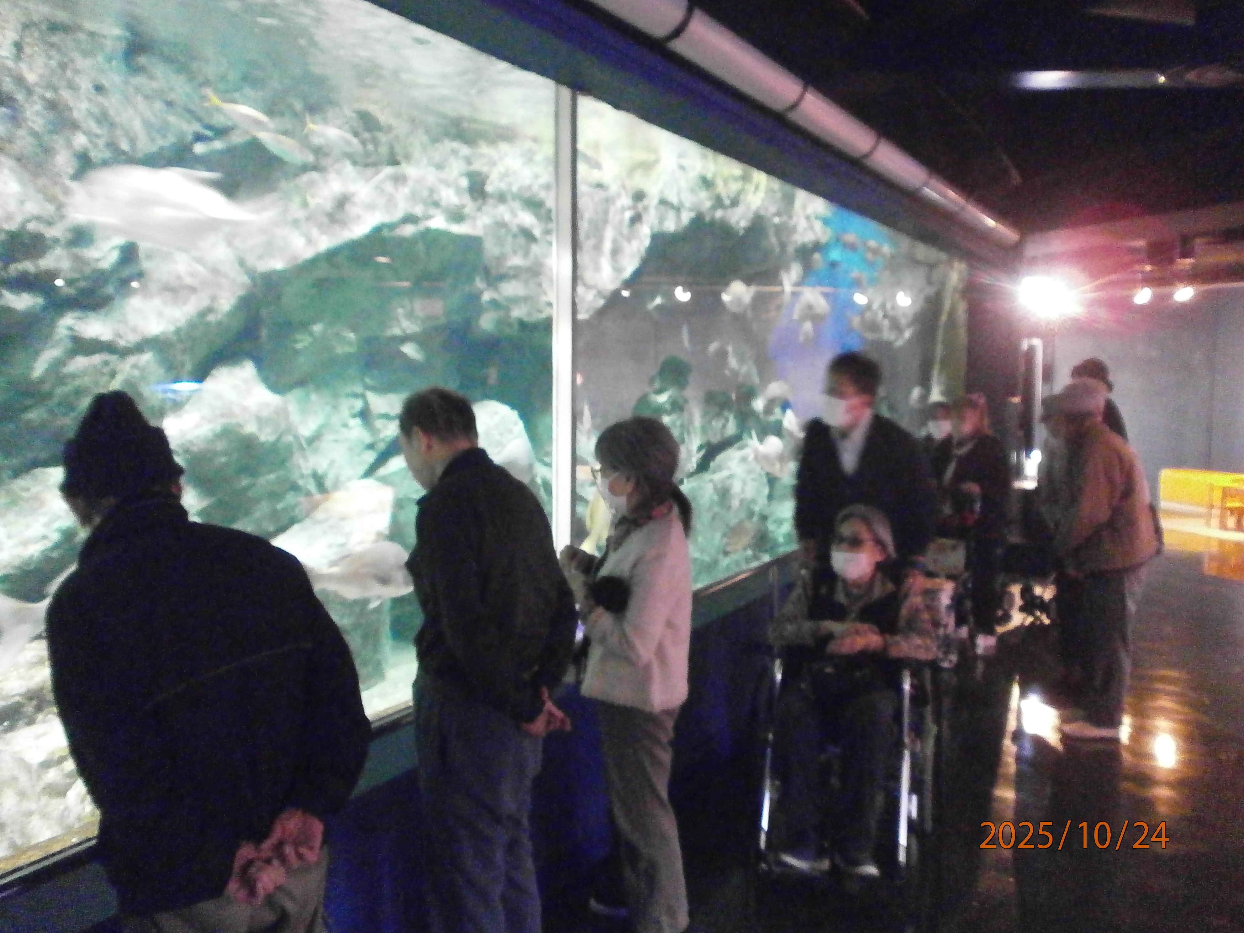 �{��@���A�藷�s